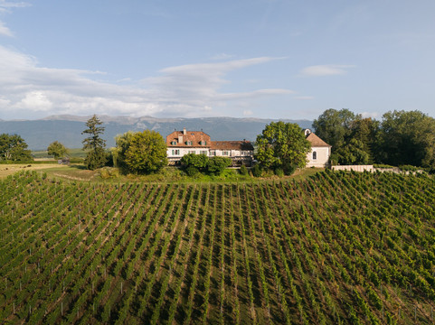 多美茵夏朵位克斯酒店主图