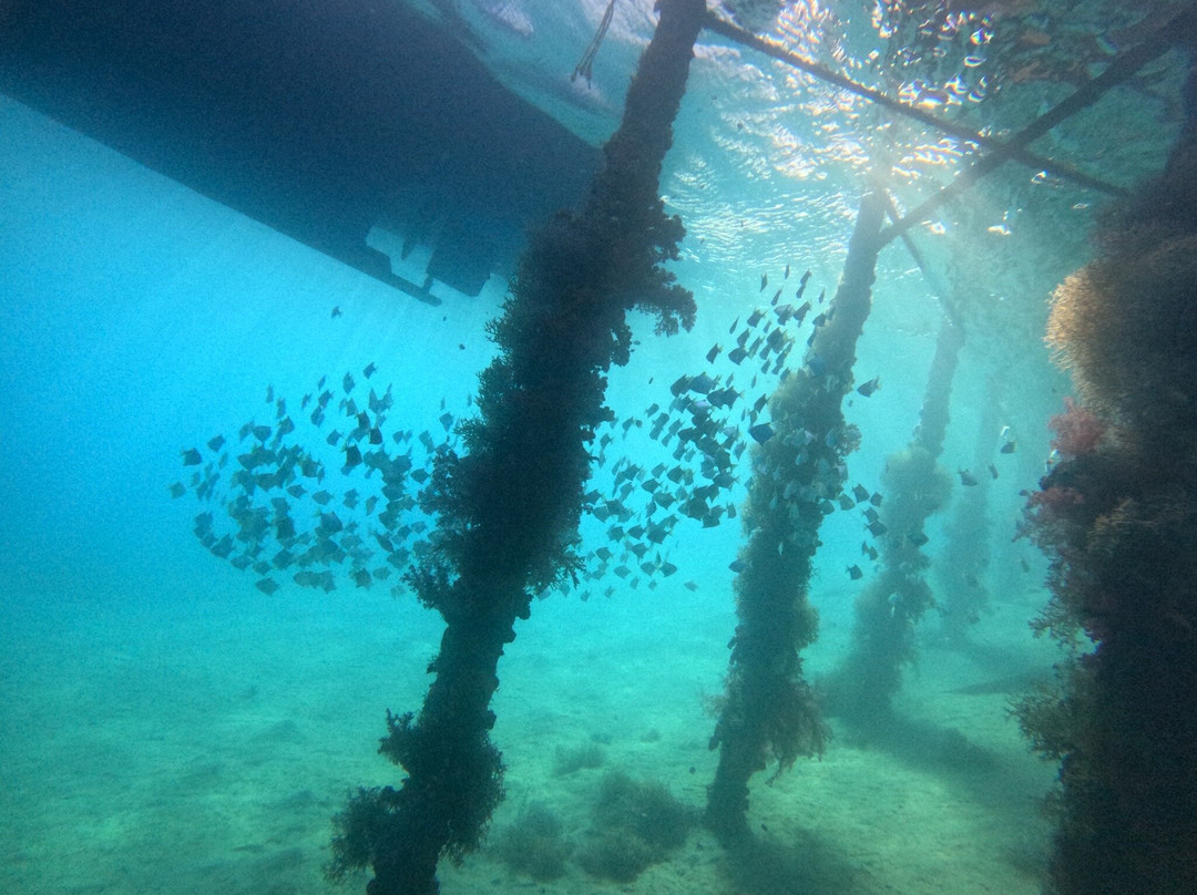 Orca Dive Club Safaga-Safaga必去景点