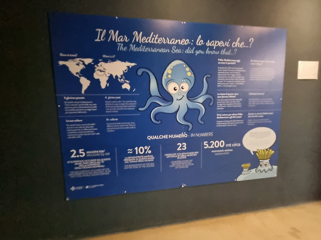 Acquario Di Livorno-里窝那必去景点