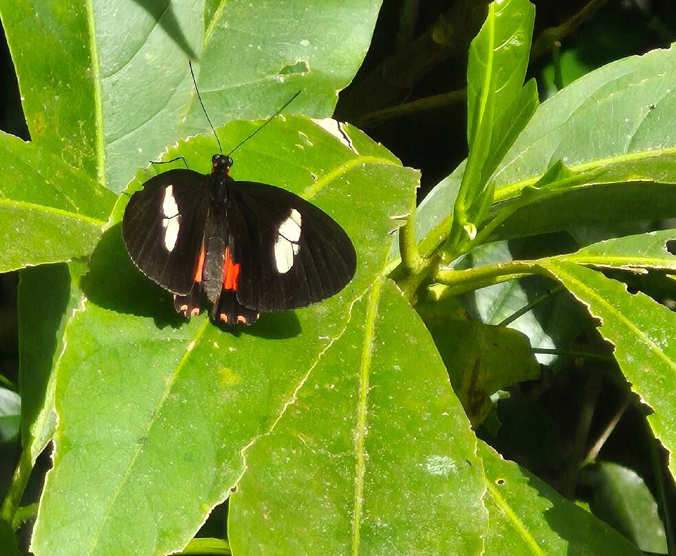 Best of Costa Rica DMC-圣何塞必去景点
