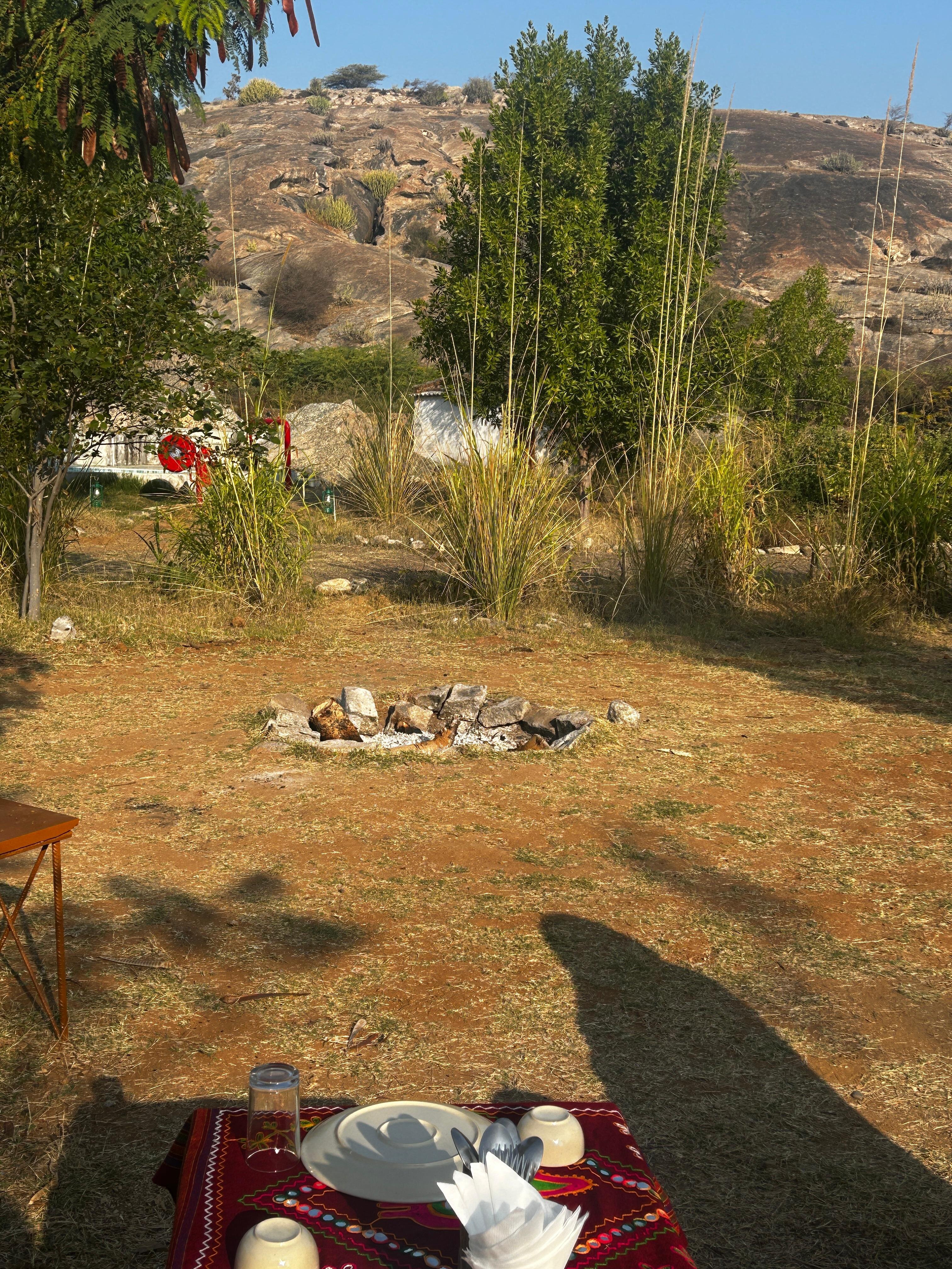 Clarks Safari Jawai-官方