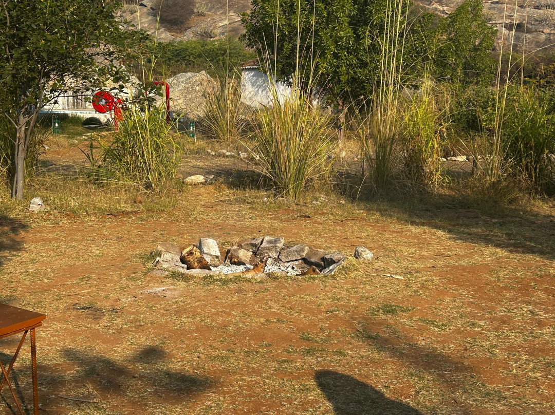 Clarks Safari Jawai主图