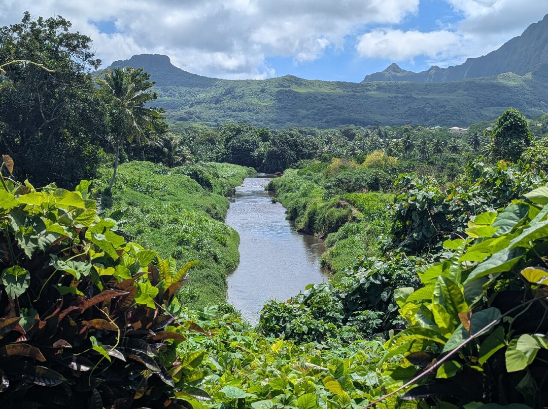 Esland BIKE-Uturoa必去景点