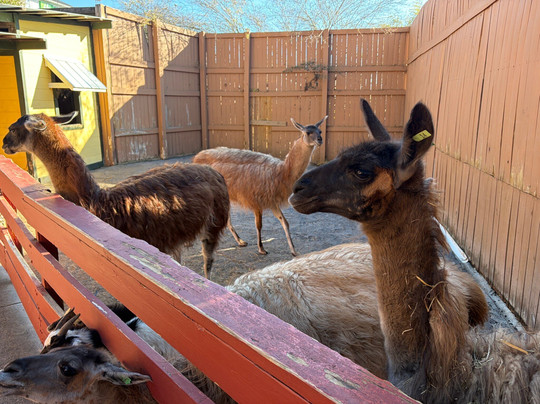 Rainforest Adventures-塞维尔维尔必去景点