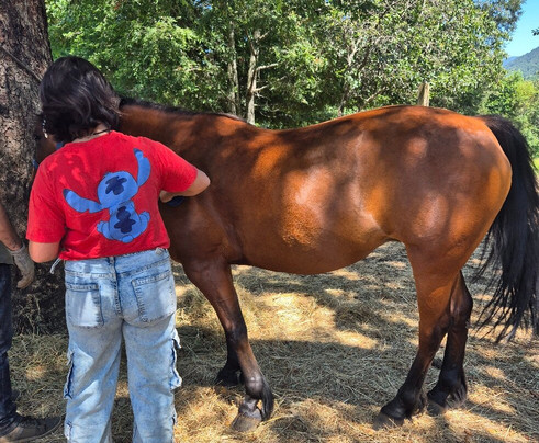 Alma Equina Pucon-普孔必去景点