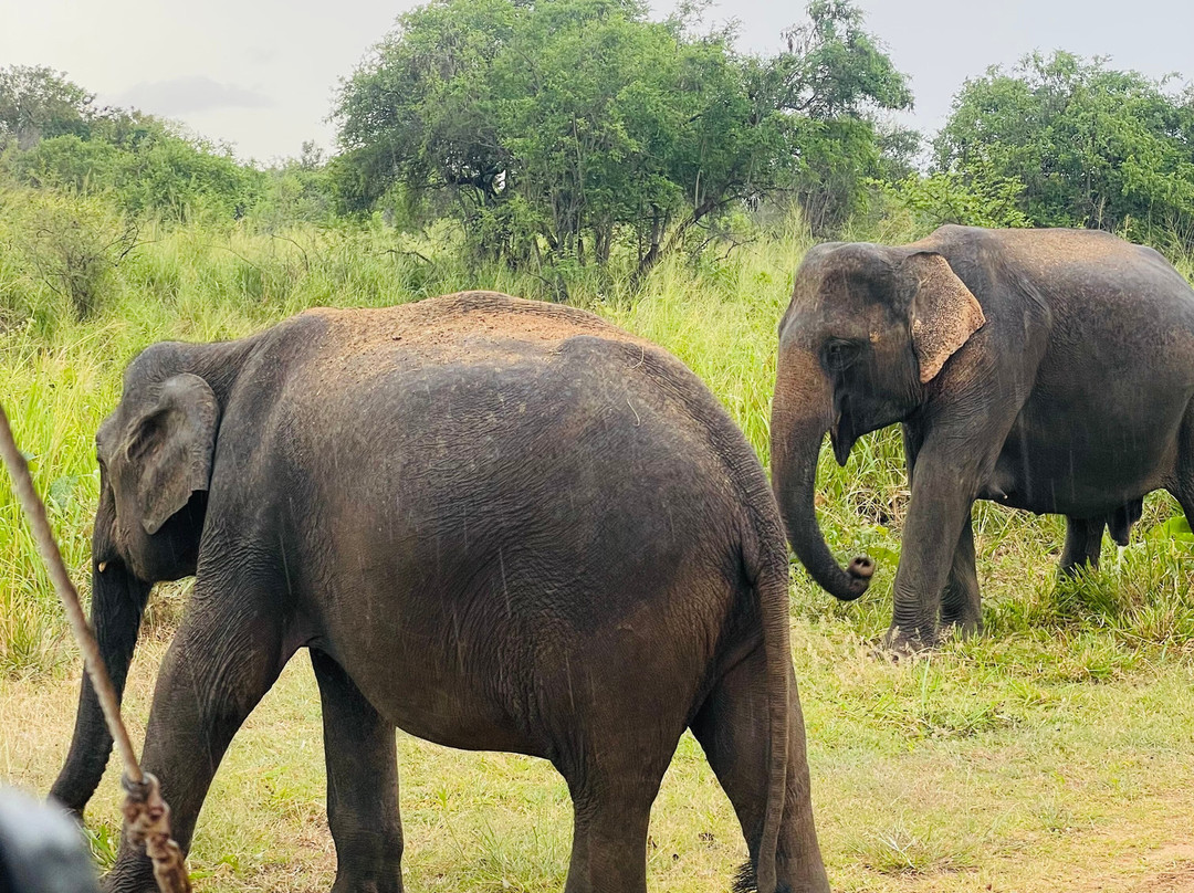 Elee'way Safari Habarana-哈巴拉娜必去景点