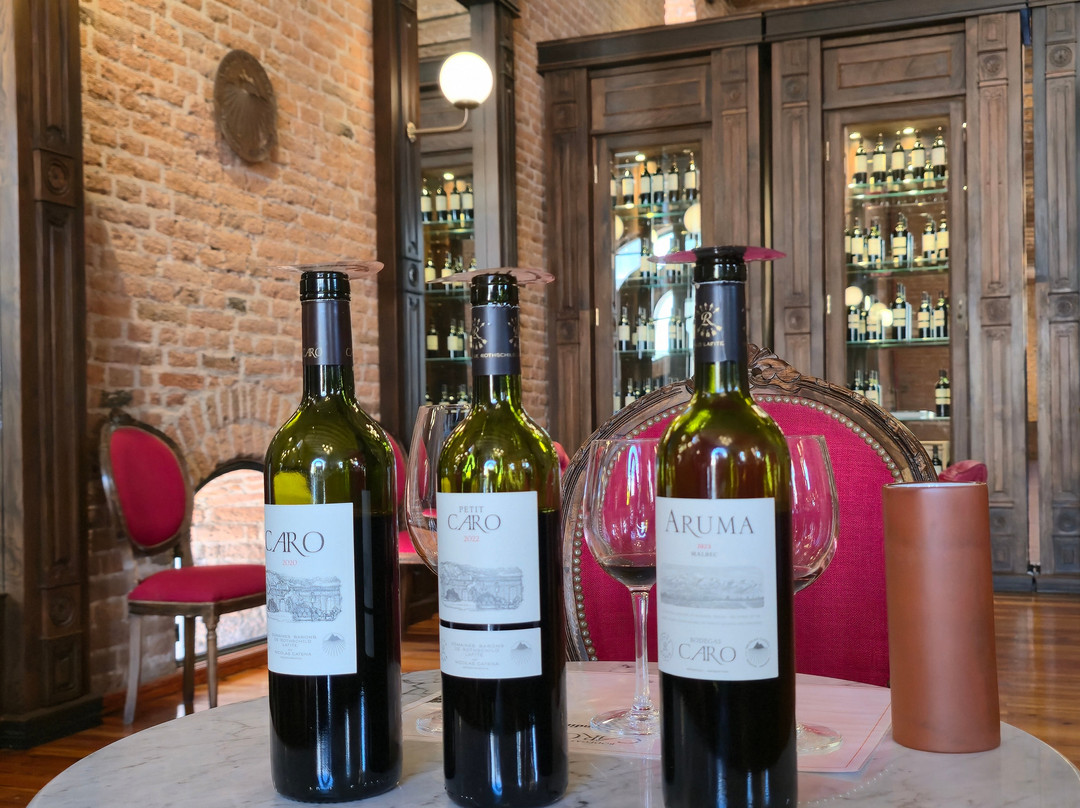 Bodegas CARO-Godoy Cruz必去景点