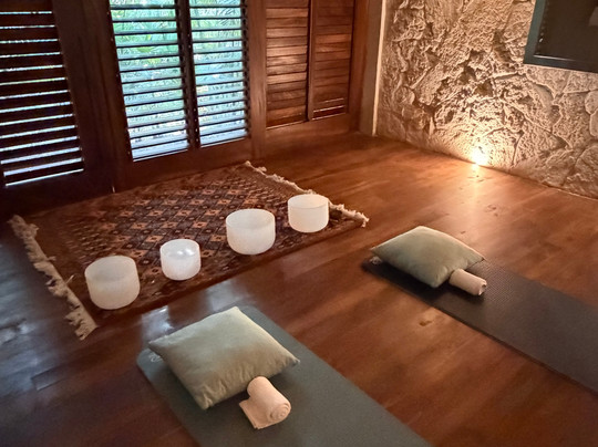 VIP Traveler-纽约市必去景点