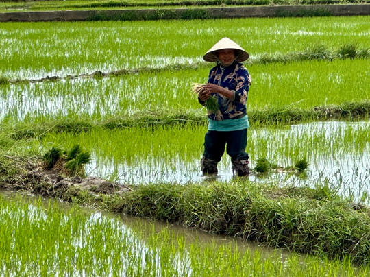 Hoi An Day Trip Company-会安必去景点