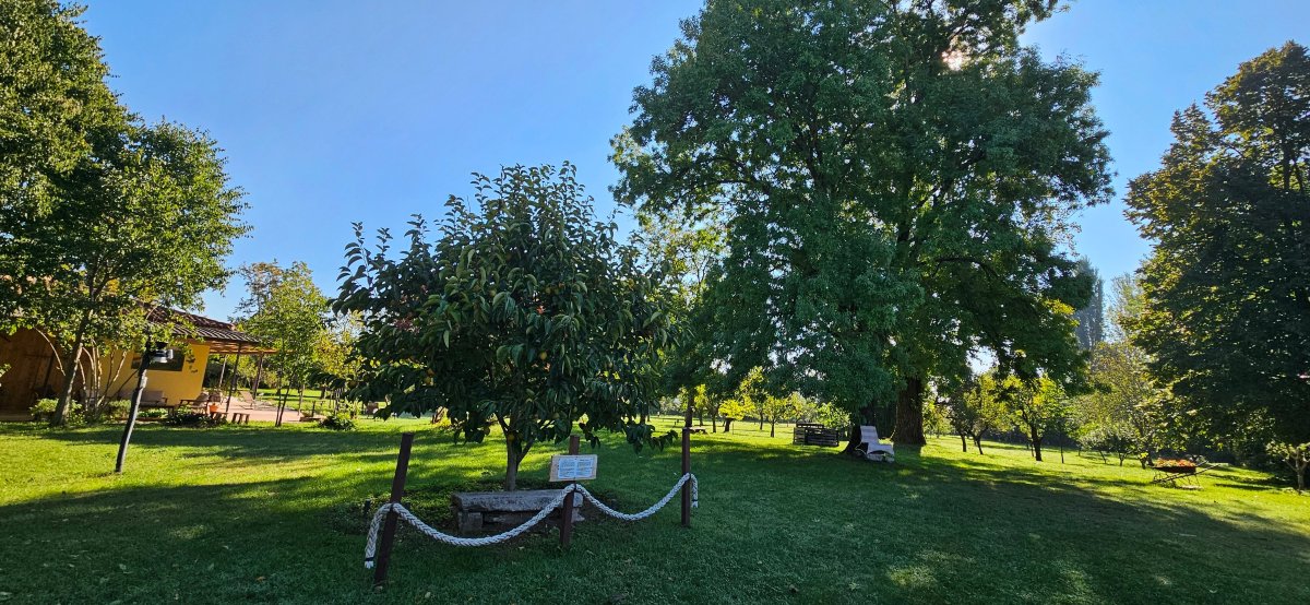 Agriturismo Corte San Girolamo-浴室