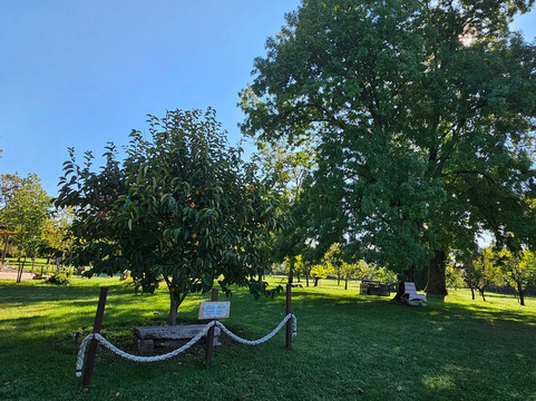 Agriturismo Corte San Girolamo主图