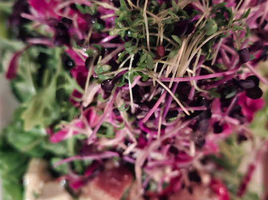 Dornheim - Trinklokal & Esskultur主图