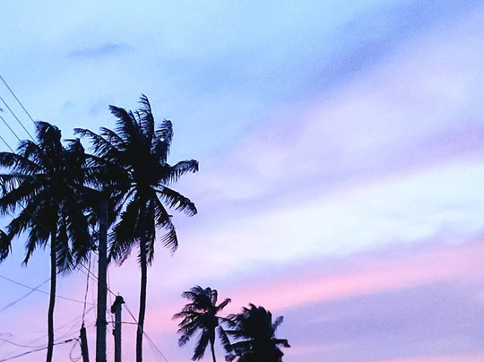 Sunrise Sri Lanka Travels and Tours-Ekala必去景点