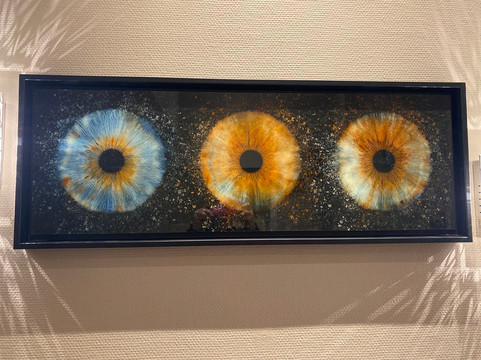 Iris Galerie Gent-根特必去景点