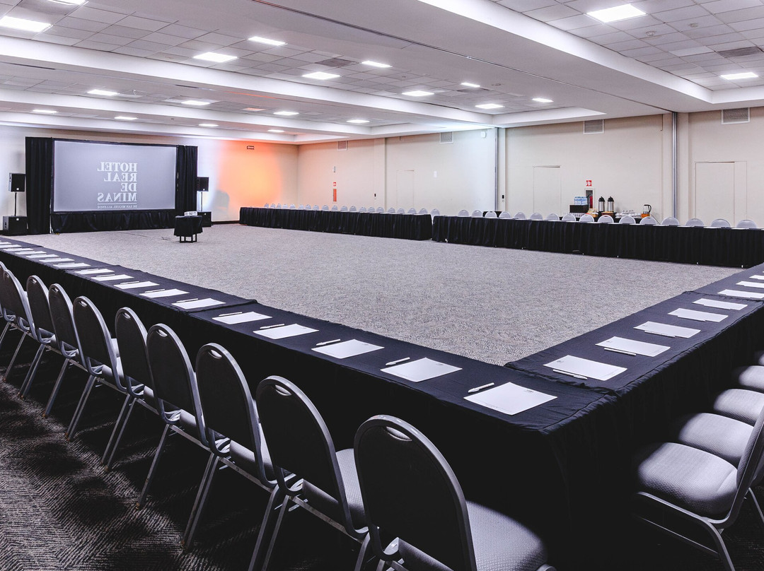 米纳斯皇家圣米格尔阿连德酒店主图