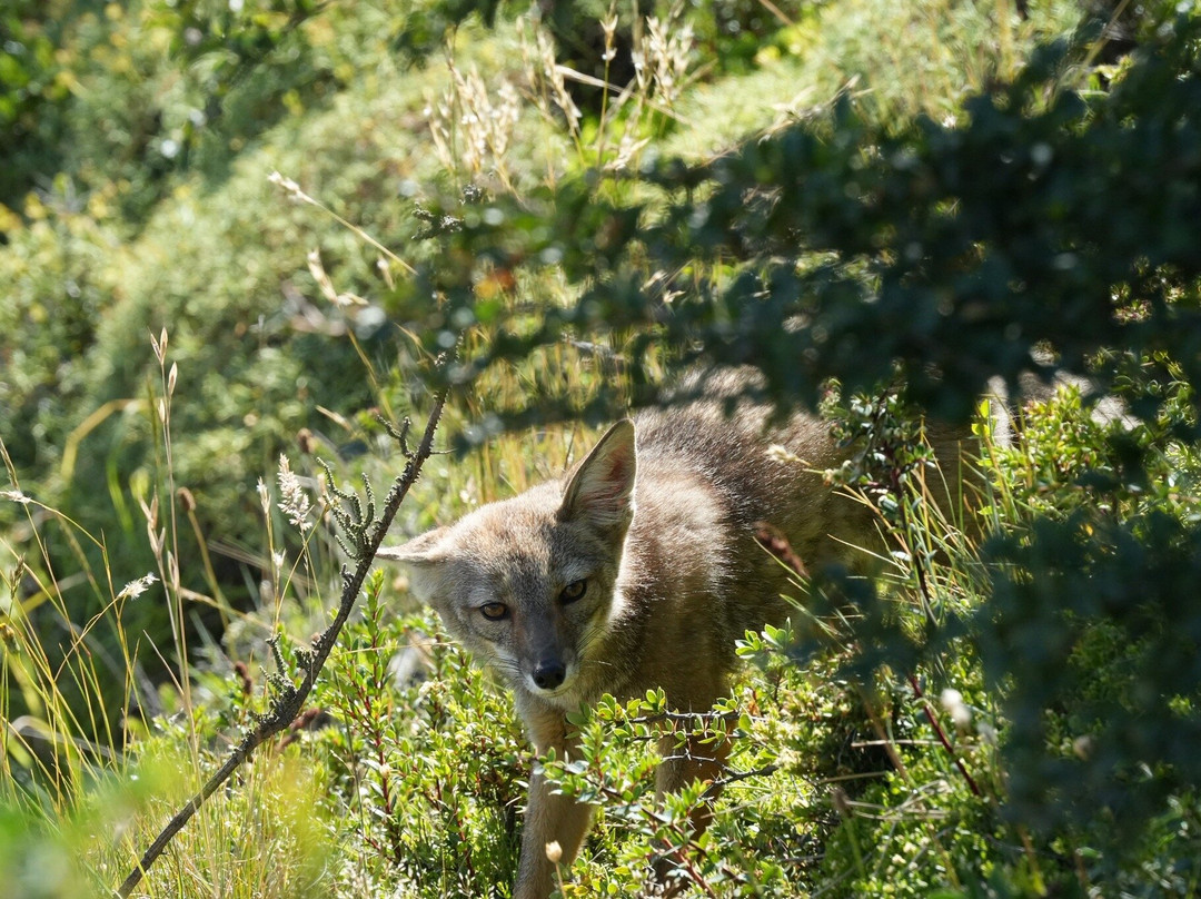 Iso100 Outdoor-Torres del Paine必去景点
