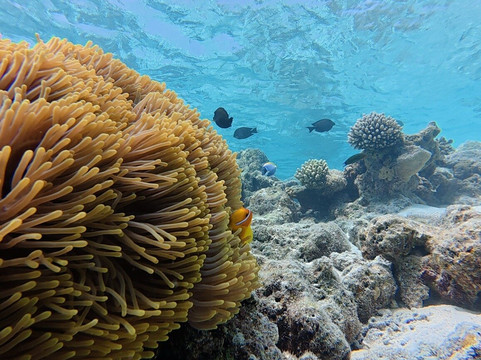 Gaadi Tours-康杜玛岛必去景点