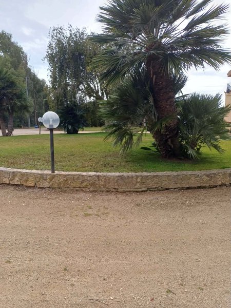 龙眼树B&B阿尔盖罗-官方