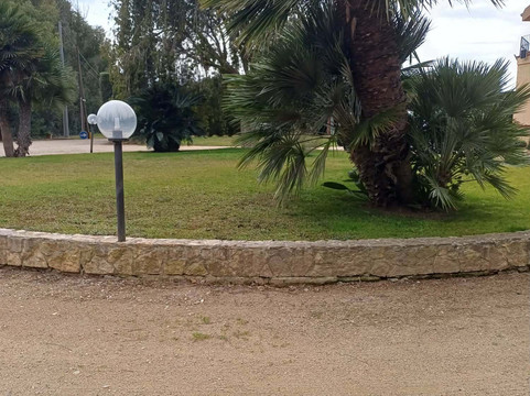 龙眼树B&B阿尔盖罗主图