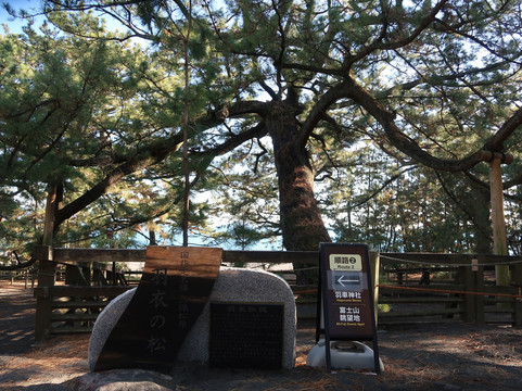三保海岸（三保之松原海滩）-静冈市必去景点