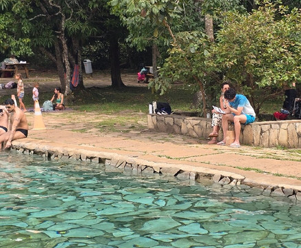 巴西利亚国家公园 (Agua Mineral)-巴西利亚必去景点