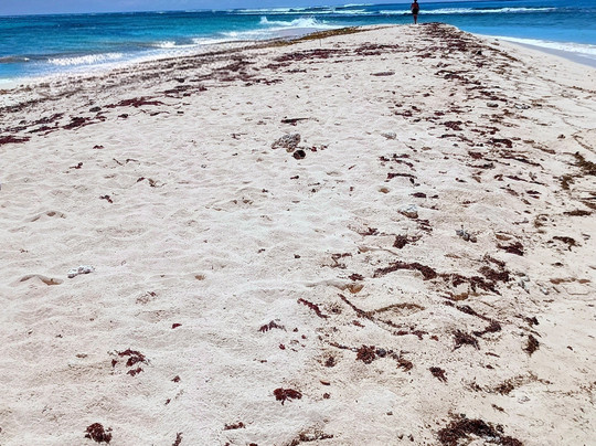 Apollon Cruise-Palmar必去景点