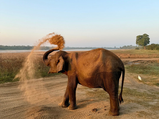 Sri Lanka Tour with Sujeewa-Kandana必去景点
