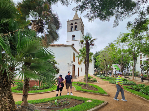 El Drago Milenario-伊科德洛斯维诺斯必去景点