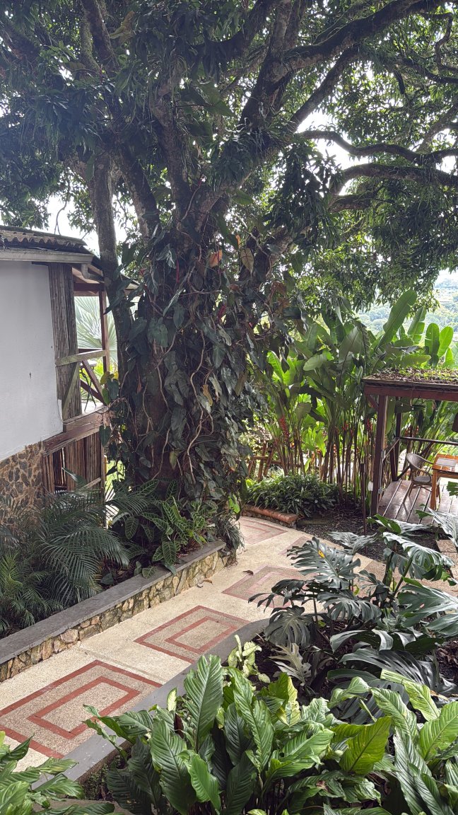 山丘 Spa 酒店-官方