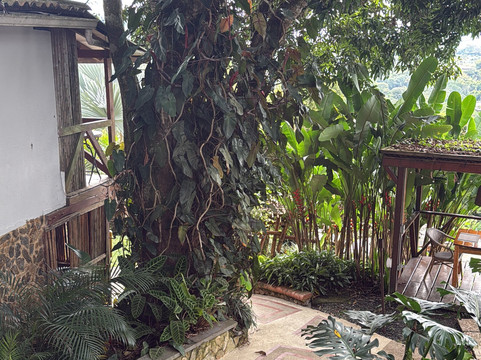 山丘 Spa 酒店主图