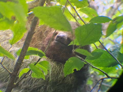 NexusTours-圣何塞必去景点