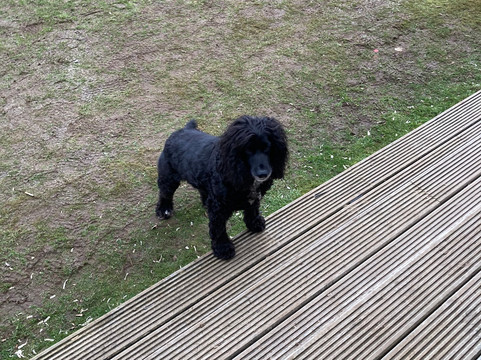 梅尔福特湖酒店主图