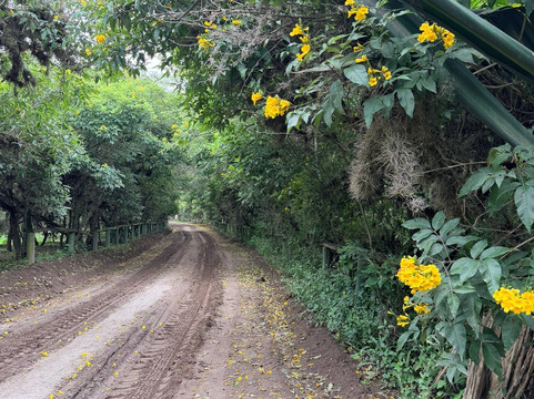Bosque Protector Jerusalem-Guayllabamba必去景点