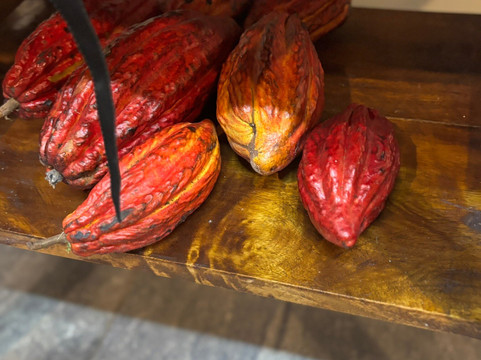 Mindo Maya Chocolate-明多必去景点