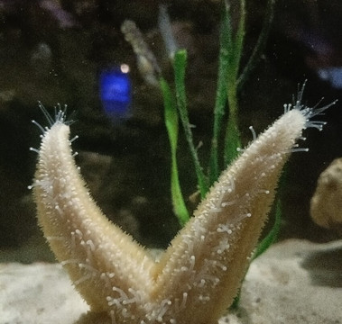 Lake District Coast Aquarium-Maryport必去景点