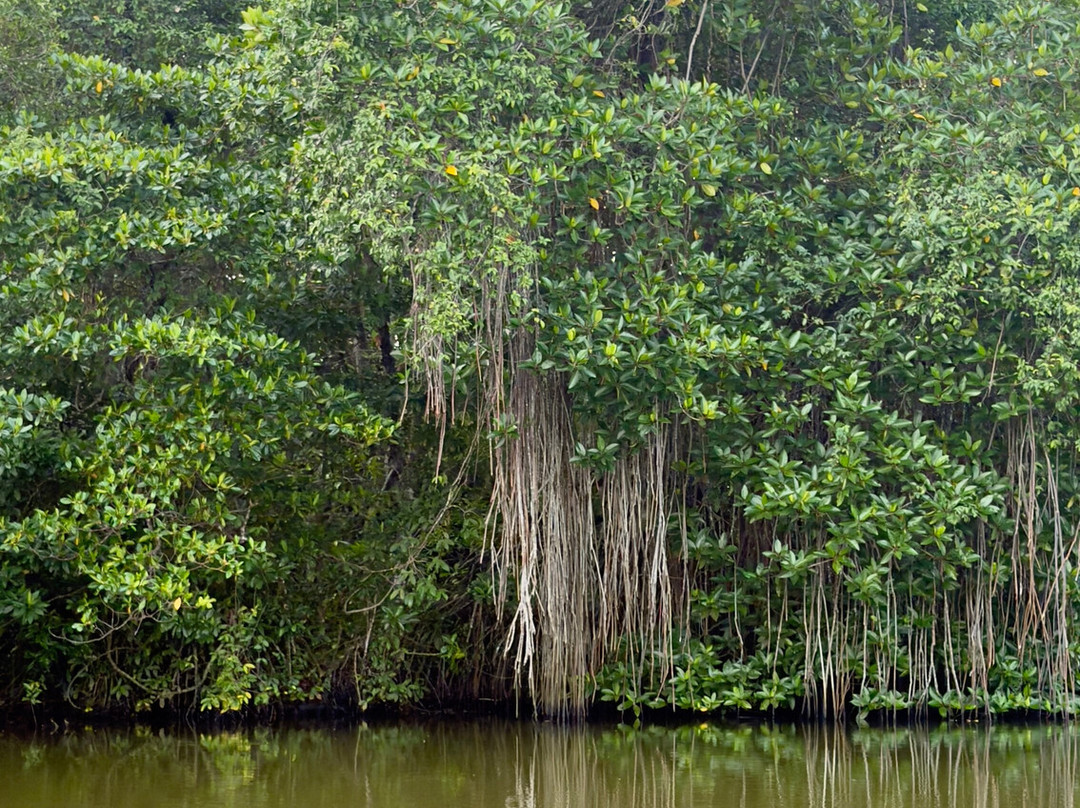 Suduhansa Tours (BoYo)-亚洪加拉必去景点