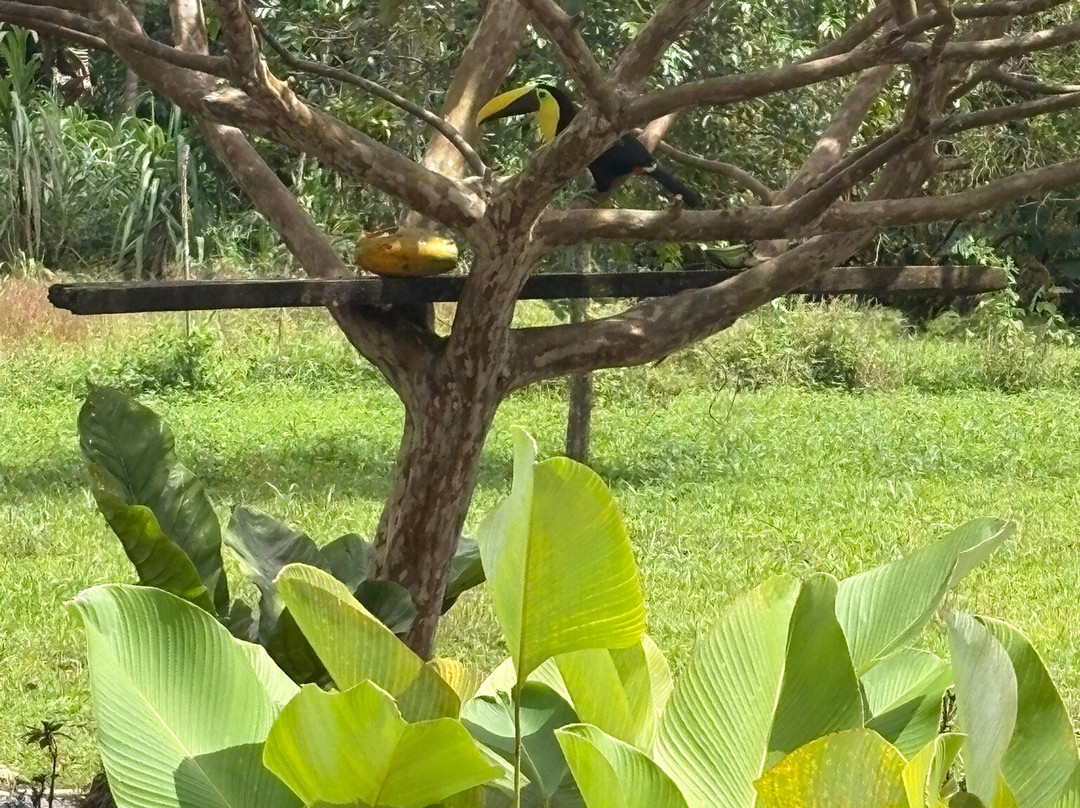 Costa Rica Eco Journeys-利比里亚必去景点