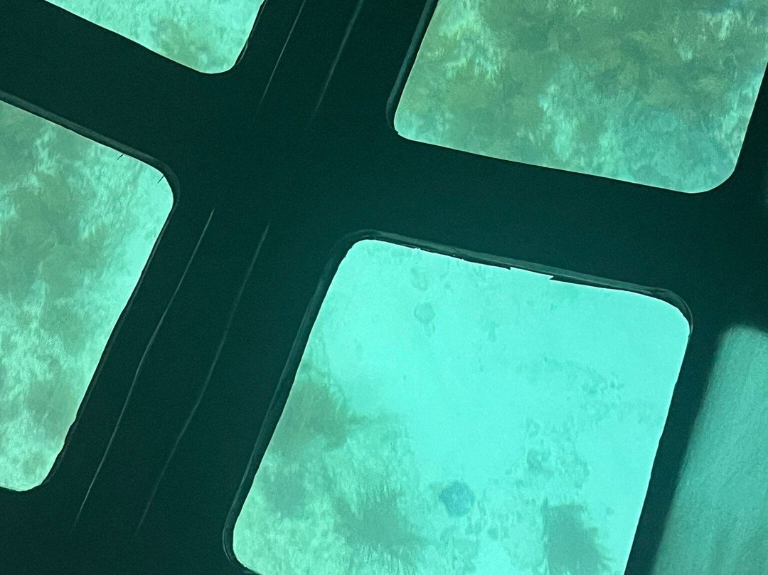 Transparensea by Glass Bottom Boats of Islamorada-伊斯拉摩拉达必去景点