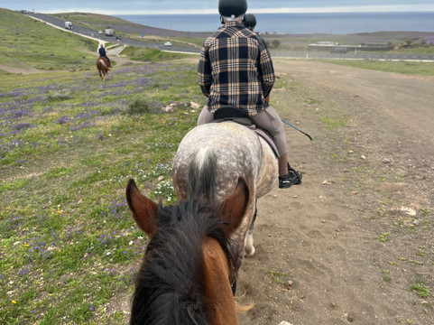 Lanzarote a Caballo-兰萨罗特必去景点