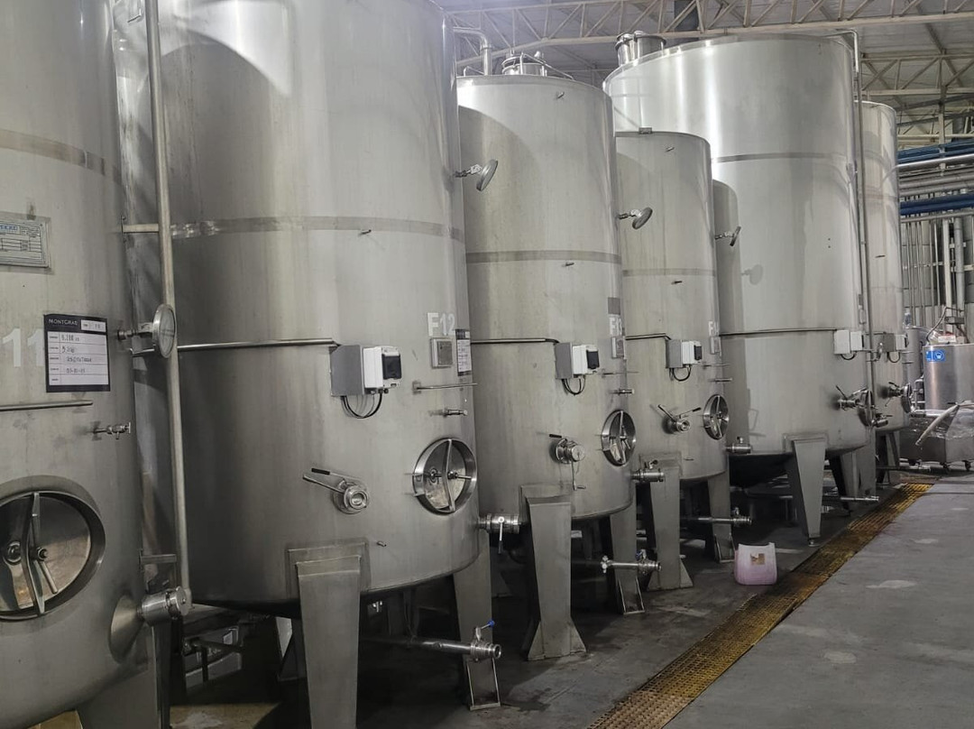 MontGras-Palmilla必去景点