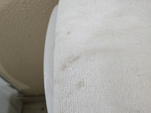 帕迪尤卡I-24 4号出口温德姆速8酒店主图