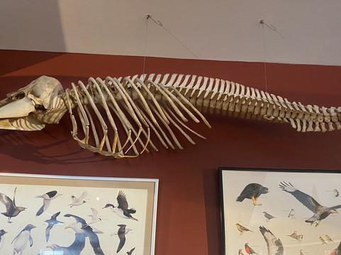 Falkland Islands Museum-Stanley必去景点