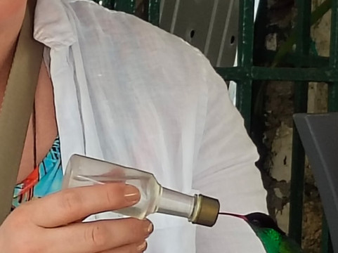 罗克兰兹鸟类保护区-Wiltshire必去景点