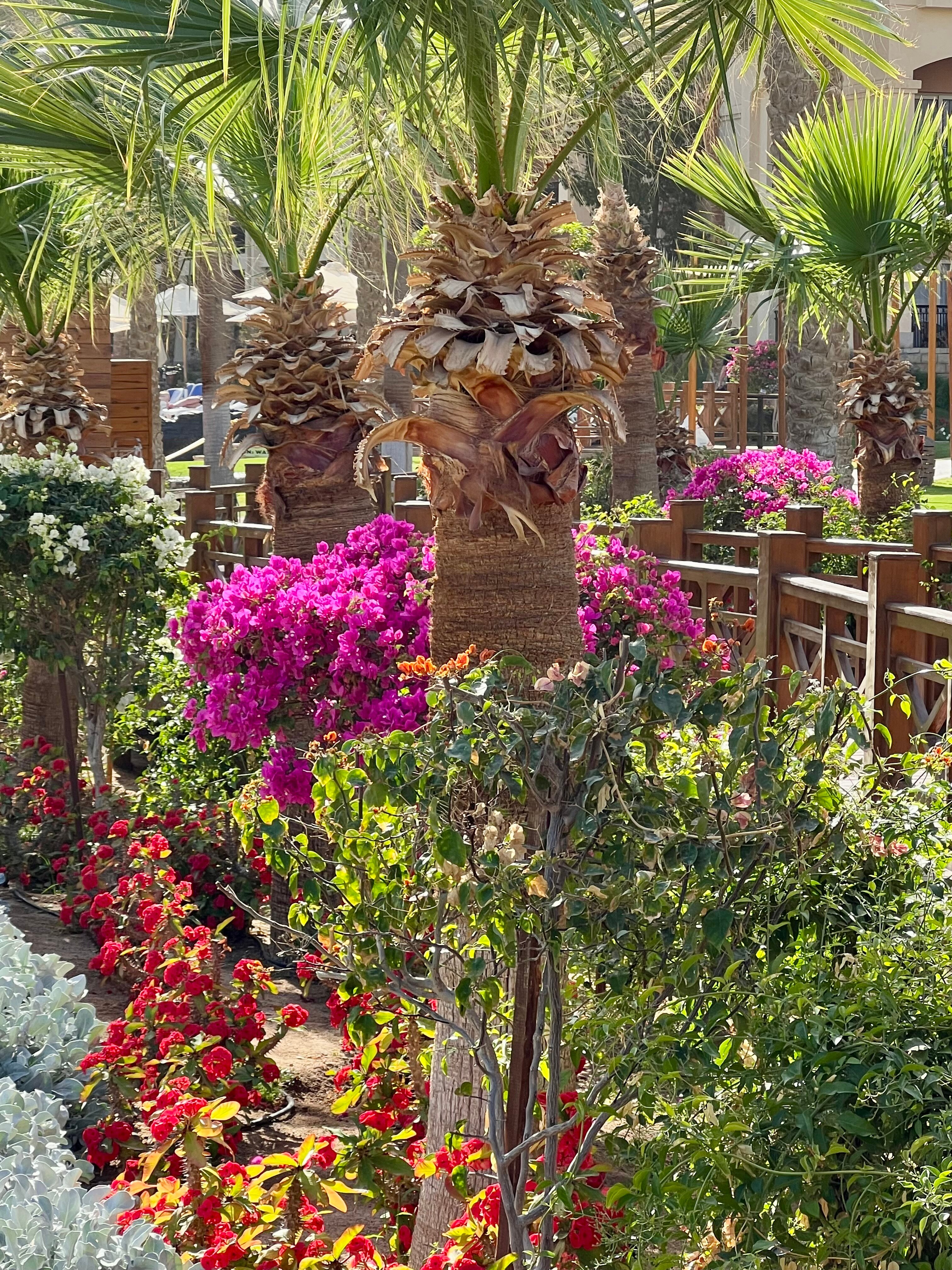 特罗皮泰萨赫尔哈希什酒店-浴室