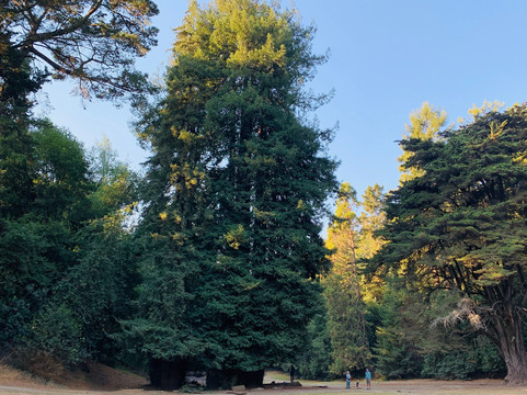 Joaquin Miller Park-奥克兰必去景点
