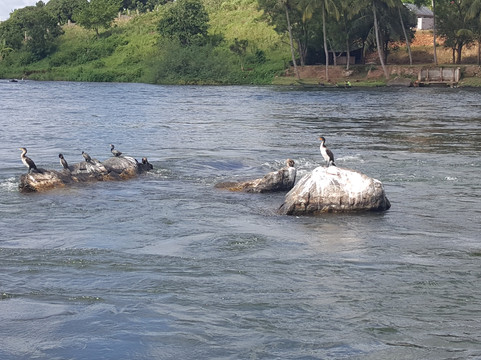Vialey Kankou Tours-坎帕拉必去景点