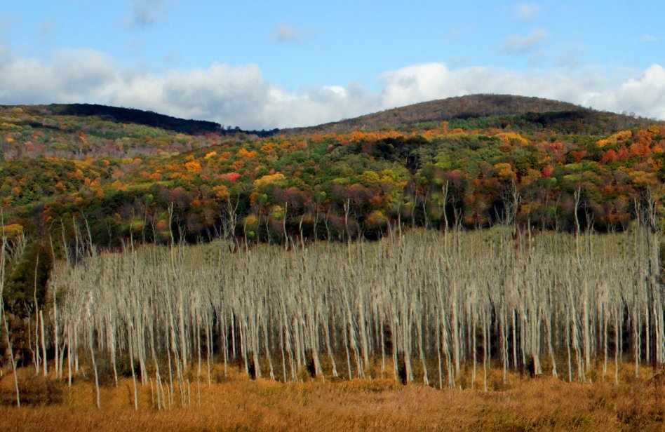 哈蒙兹波特贝斯特韦斯特优质酒店-酒店景观