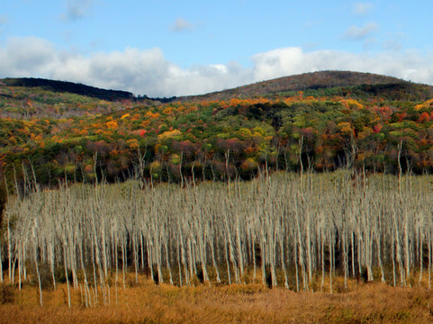 哈蒙兹波特贝斯特韦斯特优质酒店主图