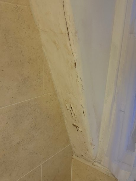 老天鹅酒店-官方