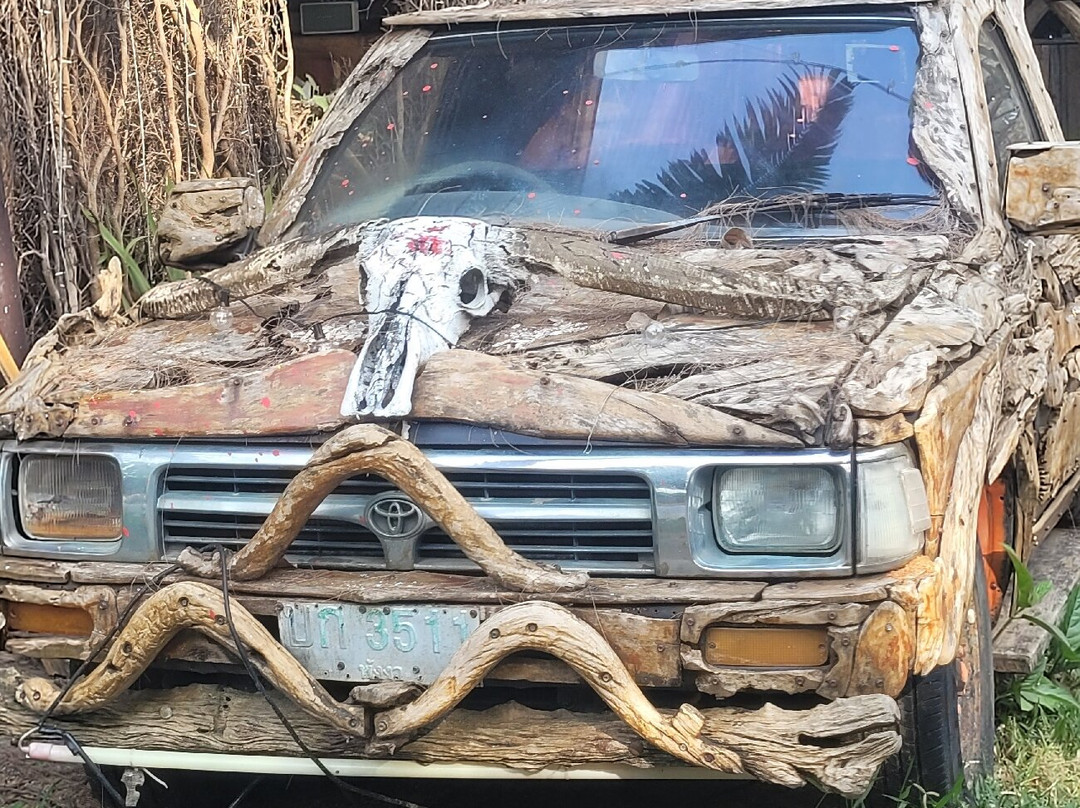 Fat Shark Bar-库克卡克海滩必去景点